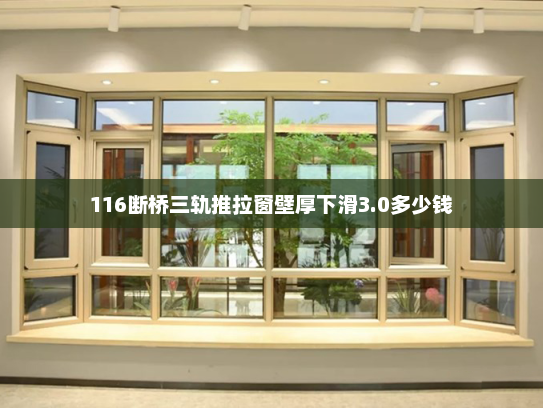 116断桥三轨推拉窗壁厚下滑3.0多少钱