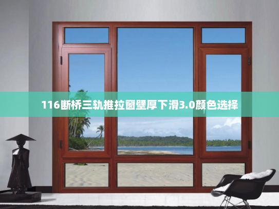 116断桥三轨推拉窗壁厚下滑3.0颜色选择